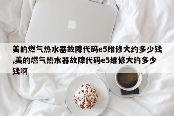 美的燃气热水器故障代码e5维修大约多少钱,美的燃气热水器故障代码e5维修大约多少钱啊