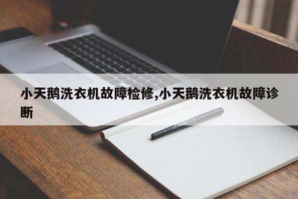 小天鹅洗衣机故障检修,小天鹅洗衣机故障诊断