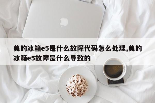 美的冰箱e5是什么故障代码怎么处理,美的冰箱e5故障是什么导致的