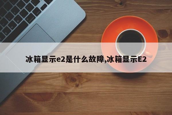 冰箱显示e2是什么故障,冰箱显示E2