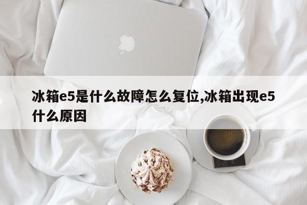 冰箱e5是什么故障怎么复位,冰箱出现e5什么原因