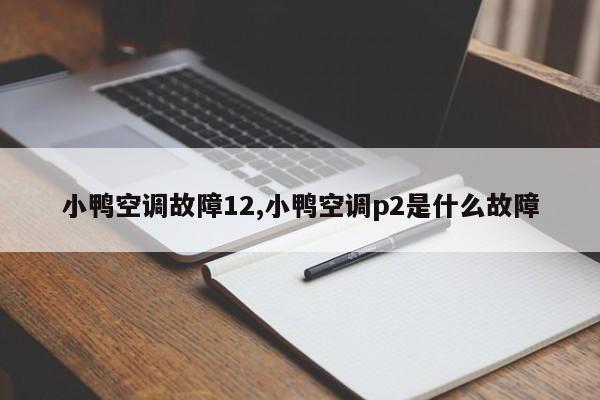 小鸭空调故障12,小鸭空调p2是什么故障