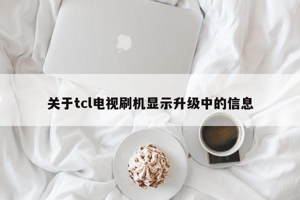 关于tcl电视刷机显示升级中的信息