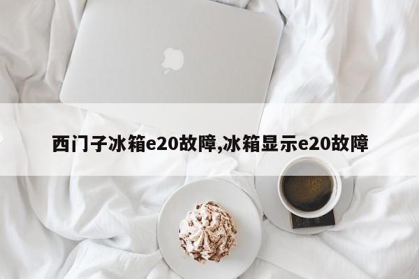 西门子冰箱e20故障,冰箱显示e20故障