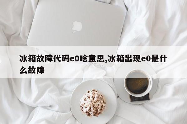 冰箱故障代码e0啥意思,冰箱出现e0是什么故障