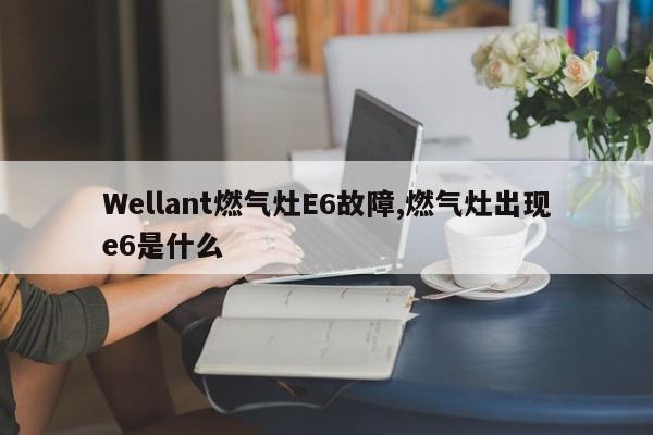 Wellant燃气灶E6故障,燃气灶出现e6是什么