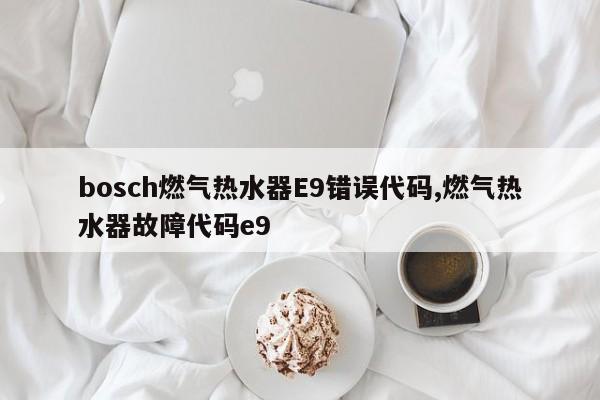 bosch燃气热水器E9错误代码,燃气热水器故障代码e9