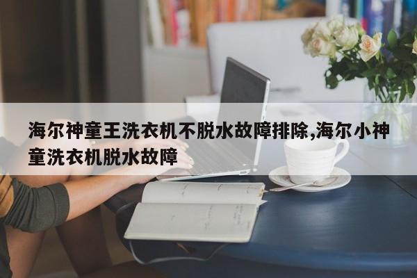 海尔神童王洗衣机不脱水故障排除,海尔小神童洗衣机脱水故障