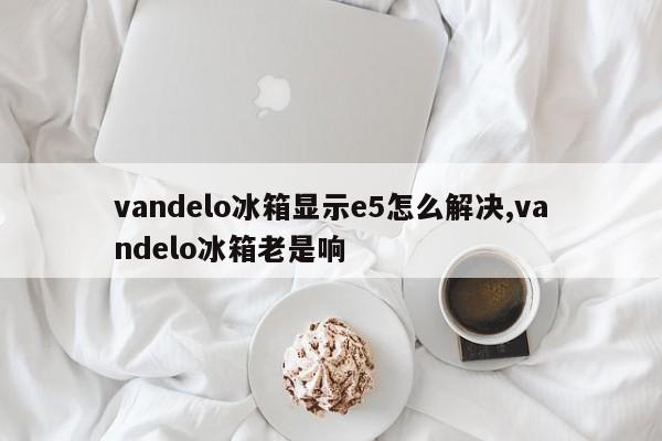 vandelo冰箱显示e5怎么解决,vandelo冰箱老是响