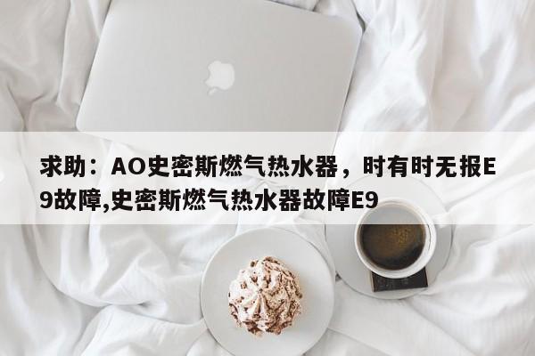 求助：AO史密斯燃气热水器，时有时无报E9故障,史密斯燃气热水器故障E9