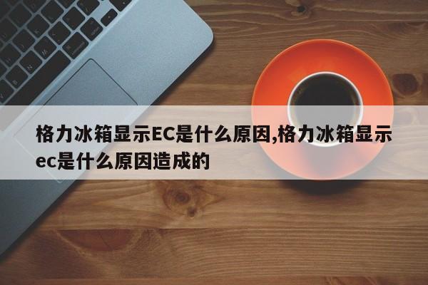 格力冰箱显示EC是什么原因,格力冰箱显示ec是什么原因造成的