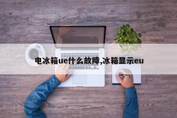 电冰箱ue什么故障,冰箱显示eu