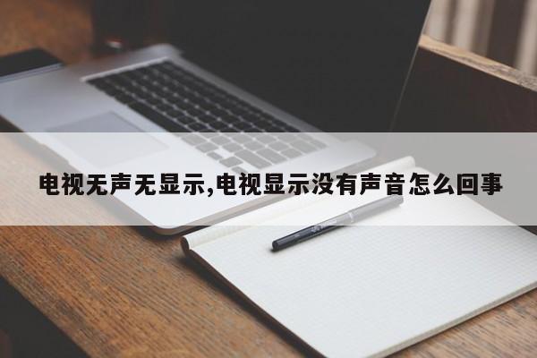 电视无声无显示,电视显示没有声音怎么回事