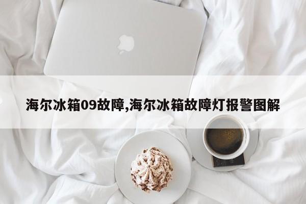 海尔冰箱09故障,海尔冰箱故障灯报警图解