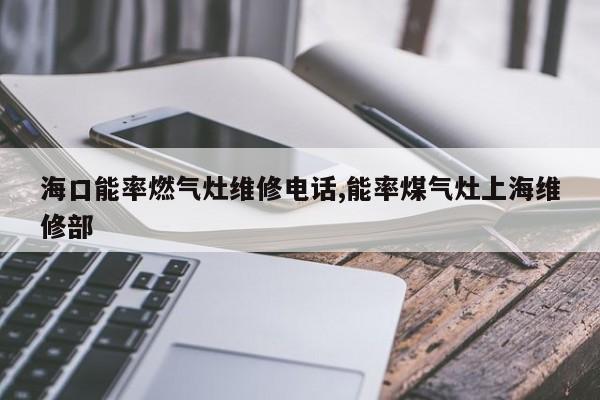 海口能率燃气灶维修电话,能率煤气灶上海维修部