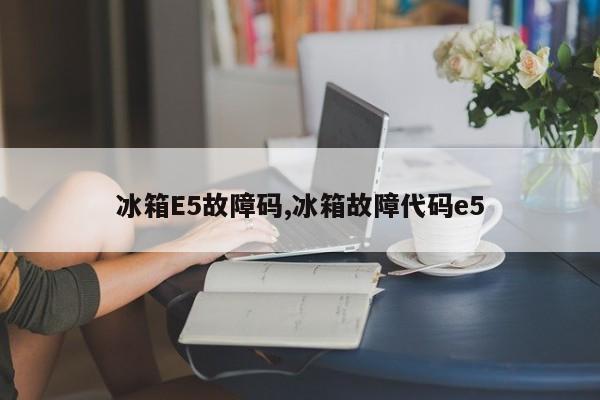 冰箱E5故障码,冰箱故障代码e5