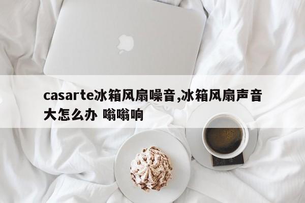 casarte冰箱风扇噪音,冰箱风扇声音大怎么办 嗡嗡响