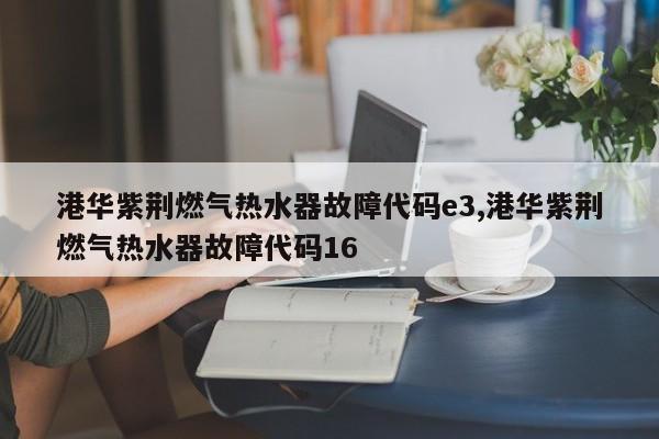 港华紫荆燃气热水器故障代码e3,港华紫荆燃气热水器故障代码16