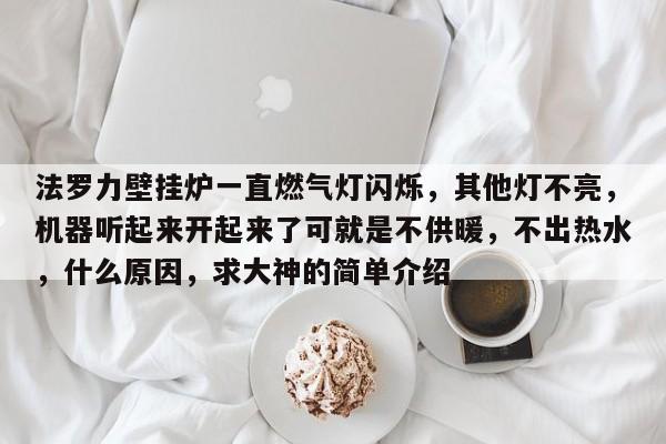 法罗力壁挂炉一直燃气灯闪烁，其他灯不亮，机器听起来开起来了可就是不供暖，不出热水，什么原因，求大神的简单介绍