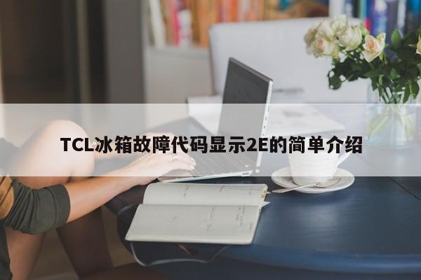 TCL冰箱故障代码显示2E的简单介绍