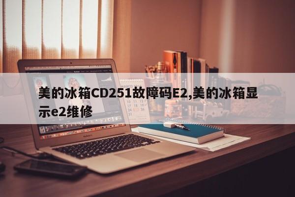 美的冰箱CD251故障码E2,美的冰箱显示e2维修