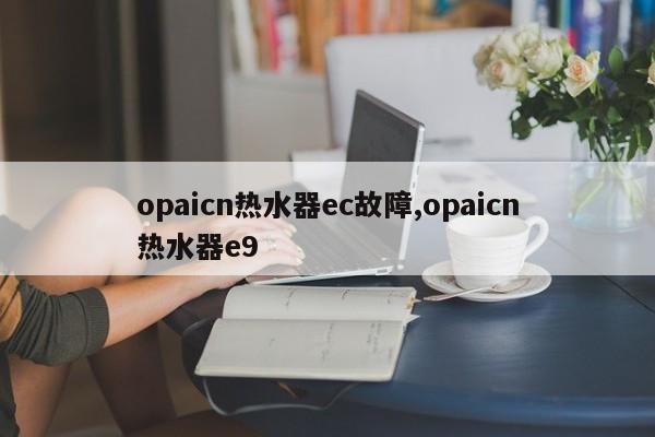 opaicn热水器ec故障,opaicn热水器e9