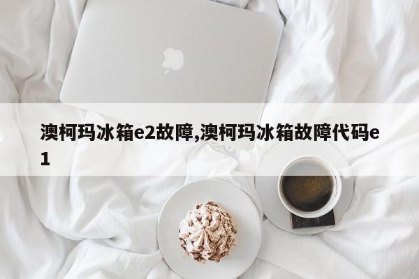 澳柯玛冰箱e2故障,澳柯玛冰箱故障代码e1