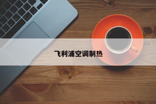 飞利浦空调制热