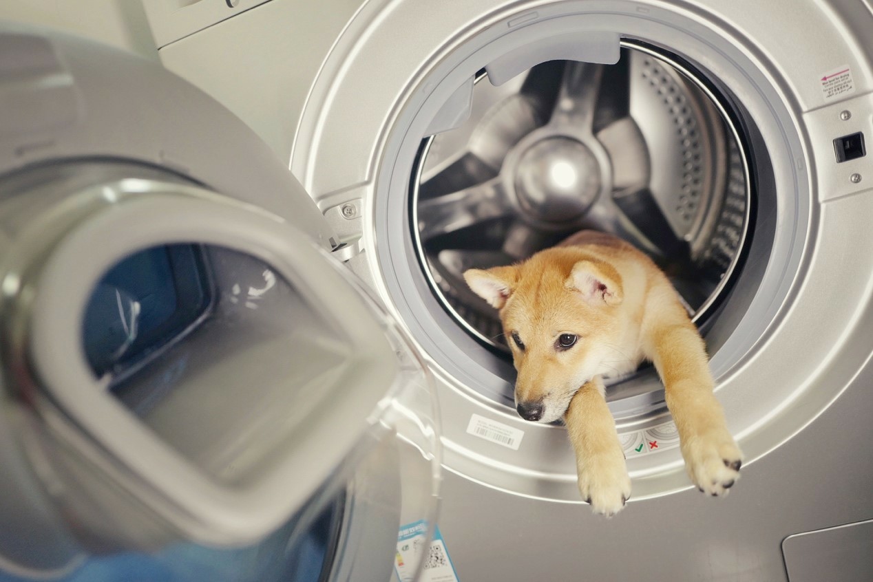海尔萨帝洗衣机怎么用,常见的就是这几个