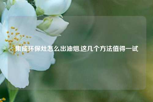 集成环保灶怎么出油烟,这几个方法值得一试