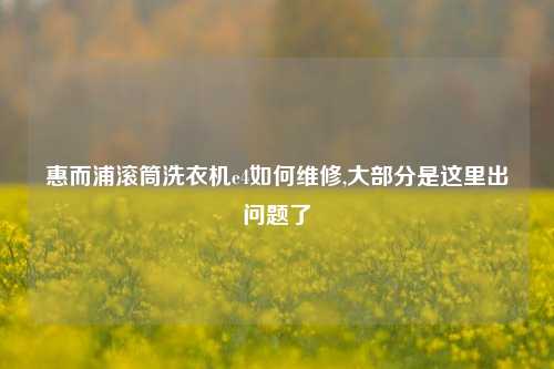 惠而浦滚筒洗衣机e4如何维修,大部分是这里出问题了