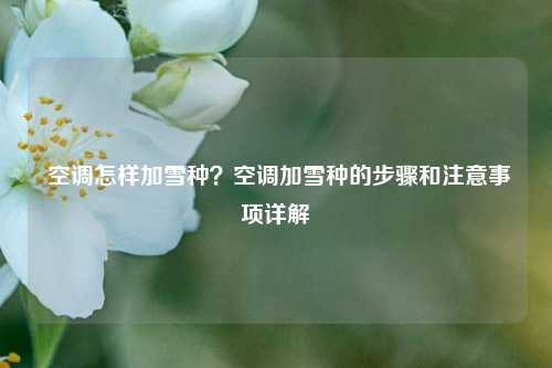 空调怎样加雪种?空调加雪种的步骤和注意事项详解 - 空调故障 - 维修资讯网