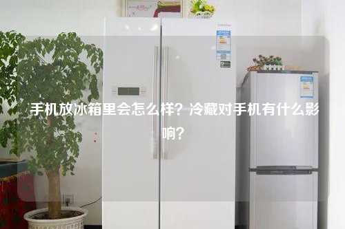 手机放冰箱里会怎么样？冷藏对手机有什么影响？