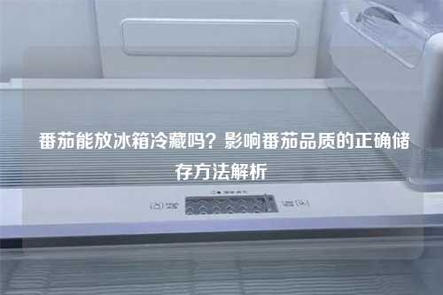 番茄能放冰箱冷藏吗？影响番茄品质的正确储存方法解析