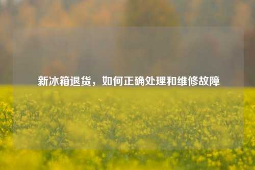  新冰箱退货，如何正确处理和维修故障