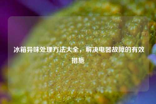  冰箱异味处理方法大全，解决电器故障的有效措施