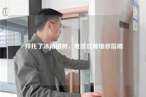  拜托了冰箱田树，电器故障维修指南