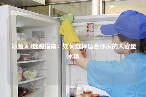  冰箱500l选购指南：如何选择适合你家的大容量冰箱