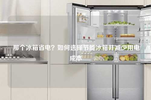  那个冰箱省电？如何选择节能冰箱并减少用电成本