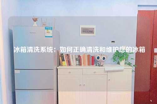 冰箱清洗系统：如何正确清洗和维护您的冰箱