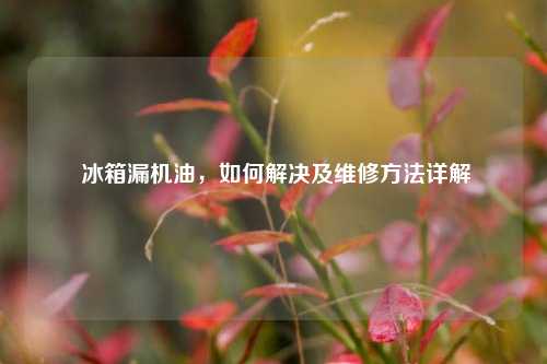  冰箱漏机油，如何解决及维修方法详解