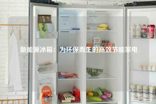  新能源冰箱：为环保而生的高效节能家电