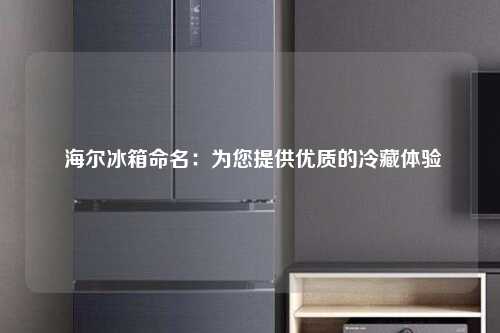  海尔冰箱命名：为您提供优质的冷藏体验