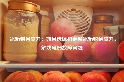  冰箱封条磁力：如何选择和更换冰箱封条磁力，解决电器故障问题