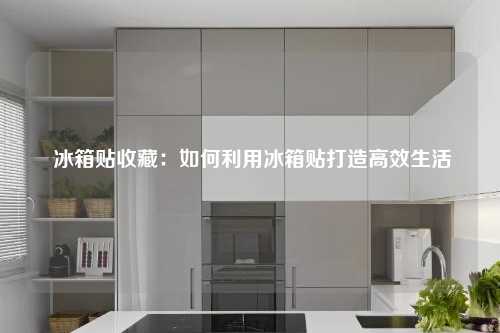  冰箱贴收藏：如何利用冰箱贴打造高效生活