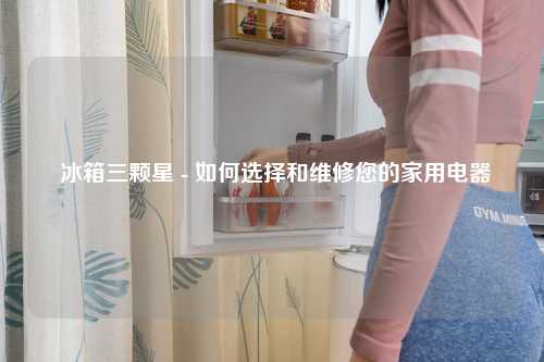  冰箱三颗星 - 如何选择和维修您的家用电器
