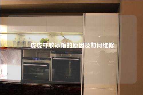  皮皮虾放冰箱的原因及如何维修