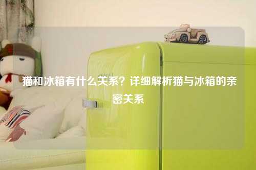  猫和冰箱有什么关系？详细解析猫与冰箱的亲密关系