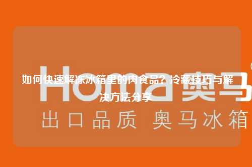  如何快速解冻冰箱里的肉食品？冷藏技巧与解决方法分享