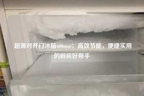  超薄对开门冰箱600mm：高效节能，便捷实用的厨房好帮手